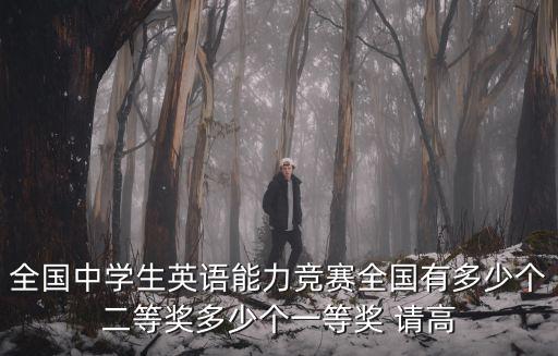 全國(guó)中學(xué)生英語(yǔ)能力競(jìng)賽全國(guó)有多少個(gè)二等獎(jiǎng)多少個(gè)一等獎(jiǎng) 請(qǐng)高