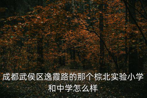 成都武侯區(qū)逸霞路的那個棕北實驗小學(xué)和中學(xué)怎么樣