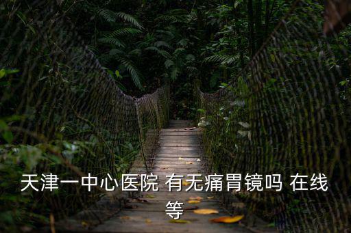 天津一中心醫(yī)院 有無痛胃鏡嗎 在線等