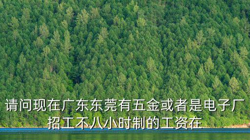 請問現在廣東東莞有五金或者是電子廠招工不八小時制的工資在