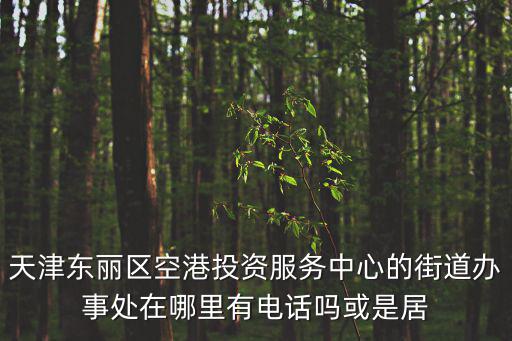 天津東麗區空港投資服務中心的街道辦事處在哪里有電話嗎或是居