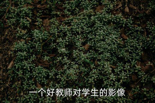 一個好教師對學生的影像