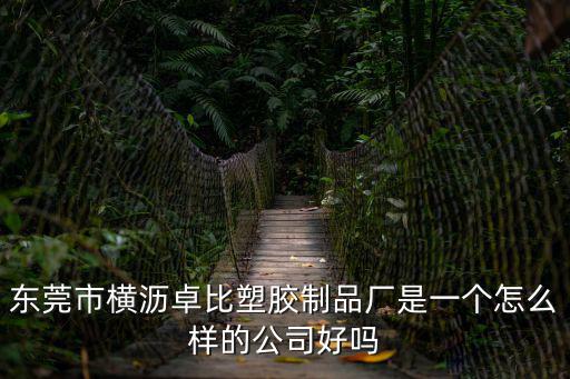 東莞市橫瀝卓比塑膠制品廠是一個怎么樣的公司好嗎