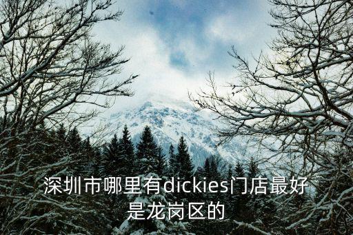 深圳費思，深圳市經偵局有幾位副局長