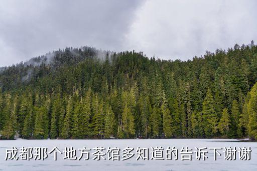 成都那個地方茶館多知道的告訴下謝謝