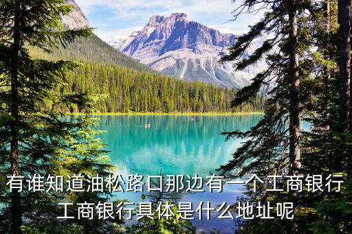 深圳桃源居工商銀行，有誰知道油松路口那邊有一個工商銀行工商銀行具體是什么地址呢
