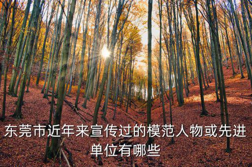 東莞市近年來宣傳過的模范人物或先進(jìn)單位有哪些