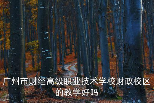 廣州市財經高級職業技術學校財政校區的教學好嗎