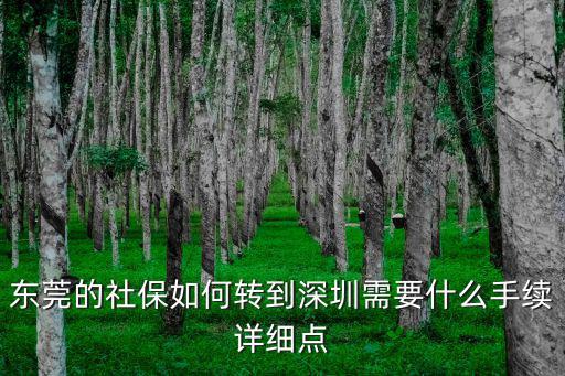 東莞的社保如何轉(zhuǎn)到深圳需要什么手續(xù)詳細(xì)點(diǎn)