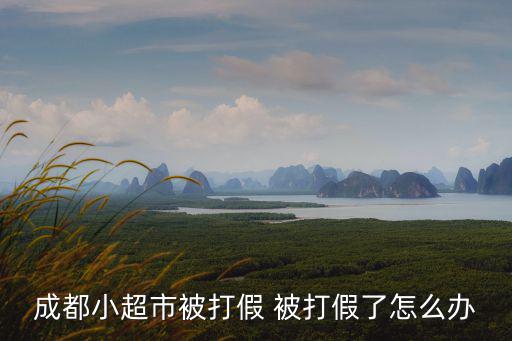 成都市銷售假冒偽劣，成都春熙路商城賣假貨嗎