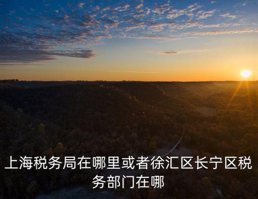 上海市徐匯區稅務分局，上海徐匯區稅務局在什么地方