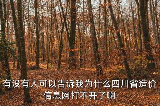 有沒有人可以告訴我為什么四川省造價信息網打不開了啊