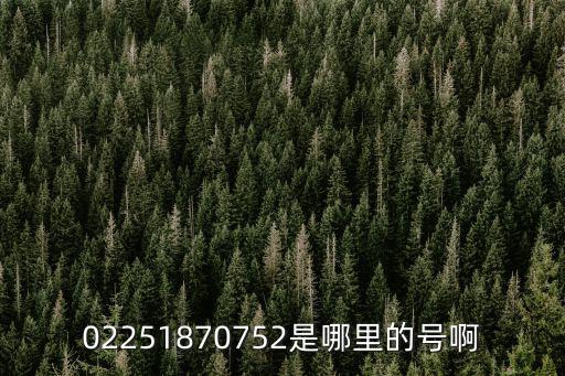 02251870752是哪里的號啊