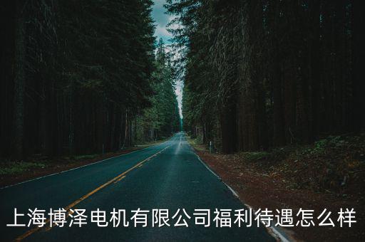 上海博澤電機(jī)有限公司福利待遇怎么樣