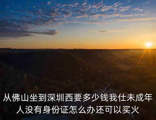 從佛山坐到深圳西要多少錢我仕未成年人沒有身份證怎么辦還可以買火
