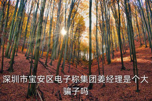 深圳市朗宇瑞飛，深圳市寶安區電子稱集團姜經理是個大騙子嗎