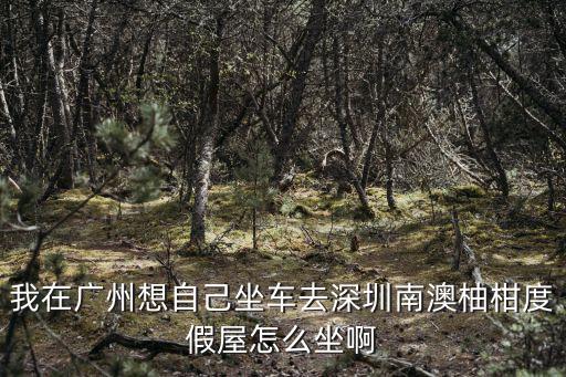 我在廣州想自己坐車去深圳南澳柚柑度假屋怎么坐啊