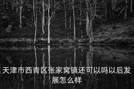 天津市西青區(qū)張家窩鎮(zhèn)還可以嗎以后發(fā)展怎么樣