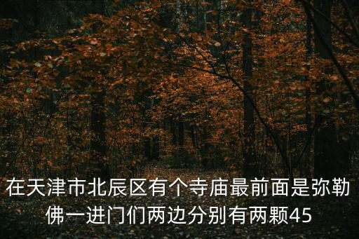 在天津市北辰區(qū)有個(gè)寺廟最前面是彌勒佛一進(jìn)門(mén)們兩邊分別有兩顆45