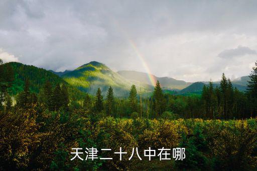 天津二十八中在哪