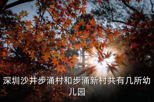 深圳沙井步涌村和步涌新村共有幾所幼兒園