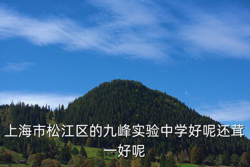 上海市松江區(qū)南九峰北門e棧，上海市松江區(qū)的九峰實驗中學(xué)好呢還茸一好呢