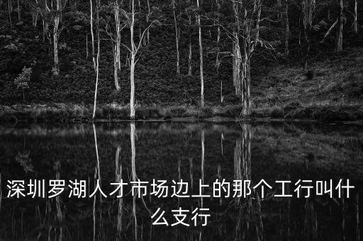 深圳羅湖人才市場邊上的那個工行叫什么支行