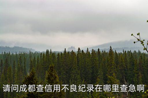 成都市查看個人征信，在成都如何查自己的信用記錄