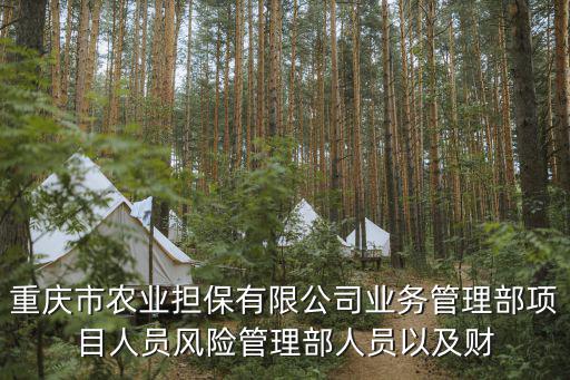 重慶市農(nóng)業(yè)擔(dān)保有限公司業(yè)務(wù)管理部項(xiàng)目人員風(fēng)險(xiǎn)管理部人員以及財(cái)
