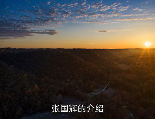 張國輝的介紹
