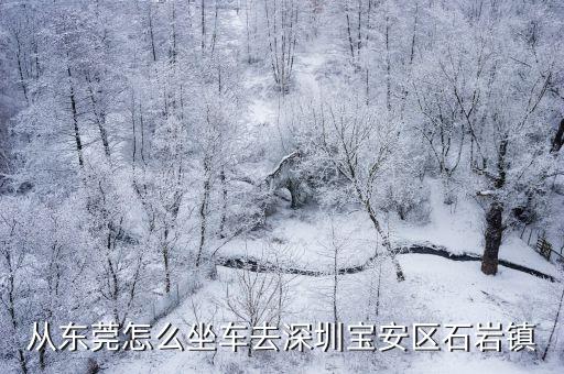 東莞到深圳石巖的車次，從東莞怎么坐車去深圳寶安區石巖鎮