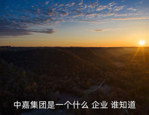 中嘉集團(tuán)是一個(gè)什么 企業(yè) 誰(shuí)知道