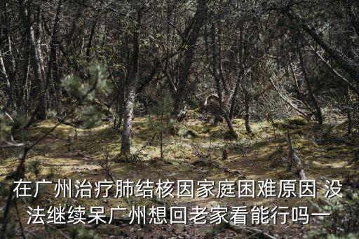 在廣州治療肺結核因家庭困難原因 沒法繼續呆廣州想回老家看能行嗎一