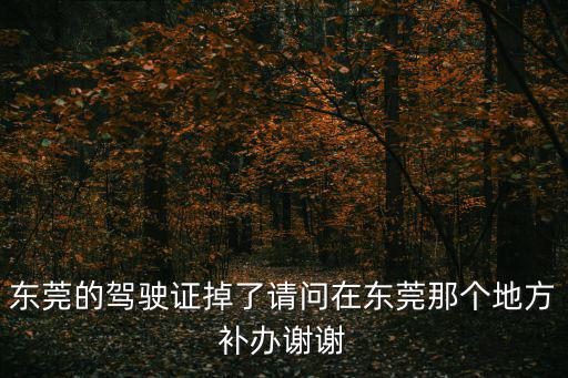 東莞的駕駛證掉了請問在東莞那個地方補辦謝謝