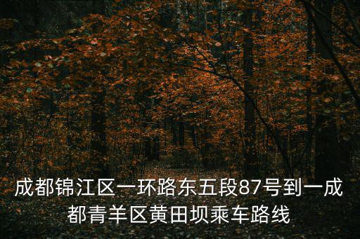 四川成都市錦江區一環路東段，成都錦江區一環路東五段87號到一成都青羊區黃田壩乘車路線