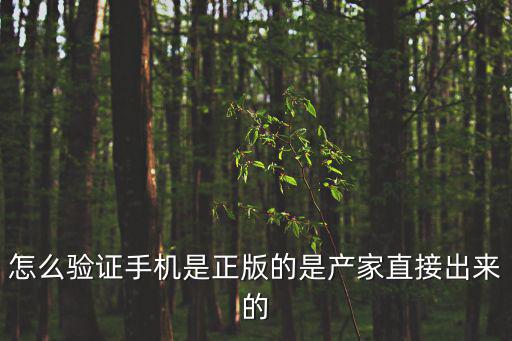 怎么驗(yàn)證手機(jī)是正版的是產(chǎn)家直接出來(lái)的