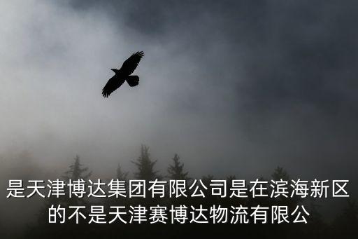 是天津博達(dá)集團(tuán)有限公司是在濱海新區(qū)的不是天津賽博達(dá)物流有限公
