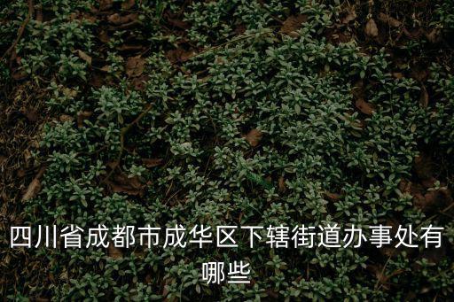 四川省成都市成華區下轄街道辦事處有哪些