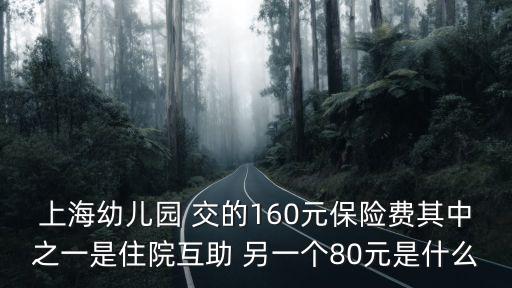 上海幼兒園 交的160元保險費其中之一是住院互助 另一個80元是什么