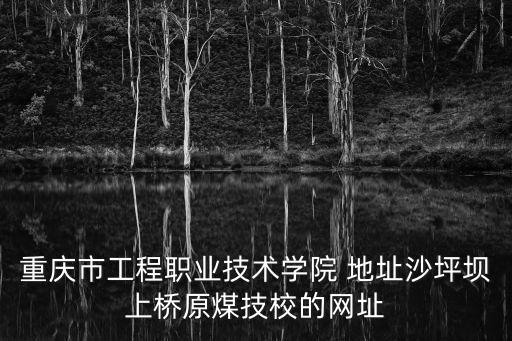 重慶市工程職業技術學院 地址沙坪壩上橋原煤技校的網址