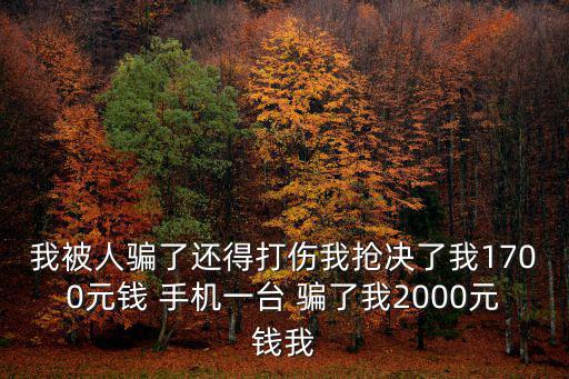 我被人騙了還得打傷我搶決了我1700元錢 手機一臺 騙了我2000元錢我
