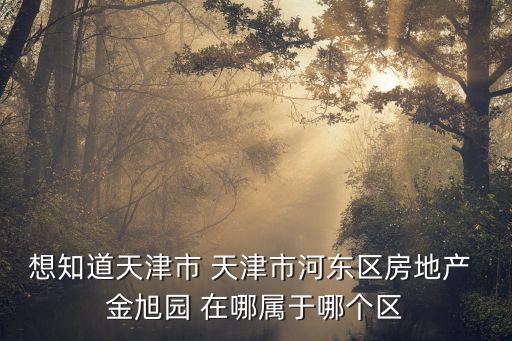 想知道天津市 天津市河東區房地產 金旭園 在哪屬于哪個區