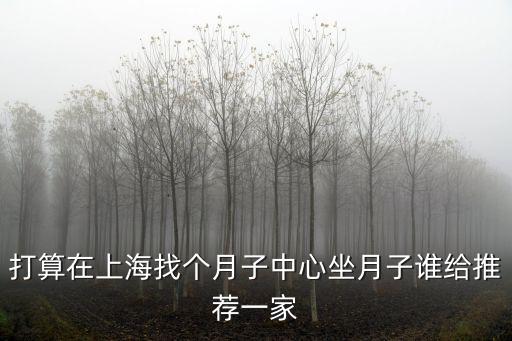 打算在上海找個月子中心坐月子誰給推薦一家