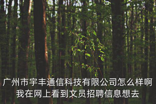 廣州市宇豐通信科技有限公司怎么樣啊我在網上看到文員招聘信息想去