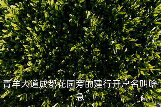 青羊大道成都花園旁的建行開(kāi)戶(hù)名叫啥急
