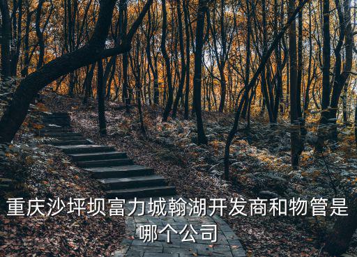 重慶沙坪壩富力城翰湖開(kāi)發(fā)商和物管是哪個(gè)公司