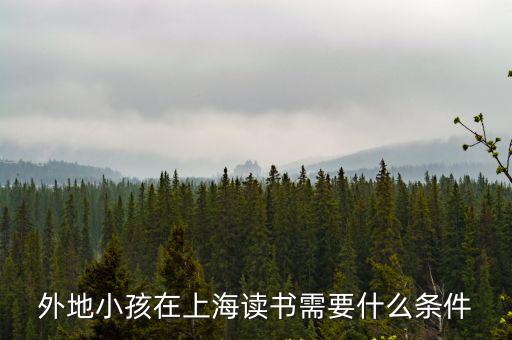 外地小孩在上海讀書需要什么條件