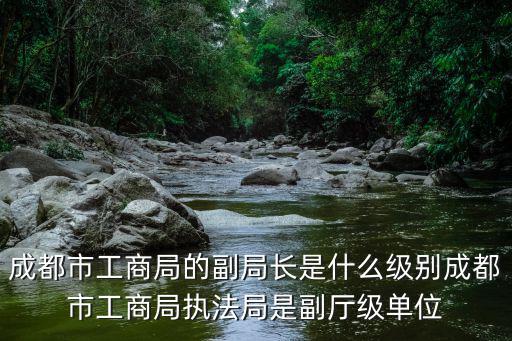 成都市工商局的副局長是什么級(jí)別成都市工商局執(zhí)法局是副廳級(jí)單位
