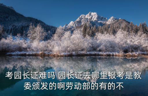 考園長證難嗎 園長證去哪里報考是教委頒發的啊勞動部的有的不