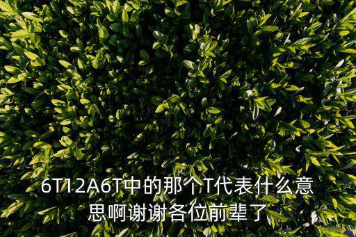 成都市有多少家鋼化T，6T12A6T中的那個T代表什么意思啊謝謝各位前輩了